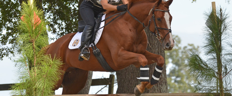 Loxley by Bliss - Quality leather saddles